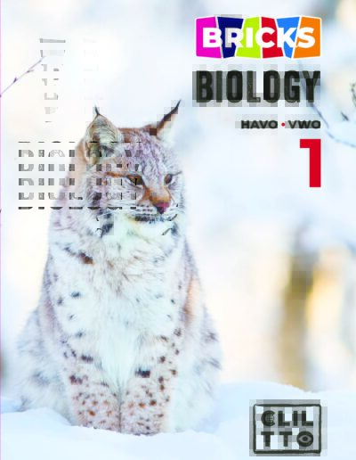 Bricks Biology